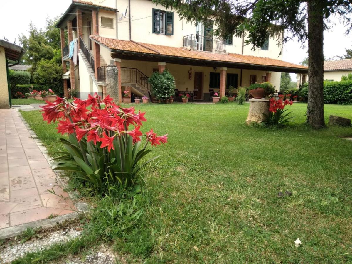 Agriturismo Le Chicche Di Mafalda Montemerano Ngoại thất bức ảnh