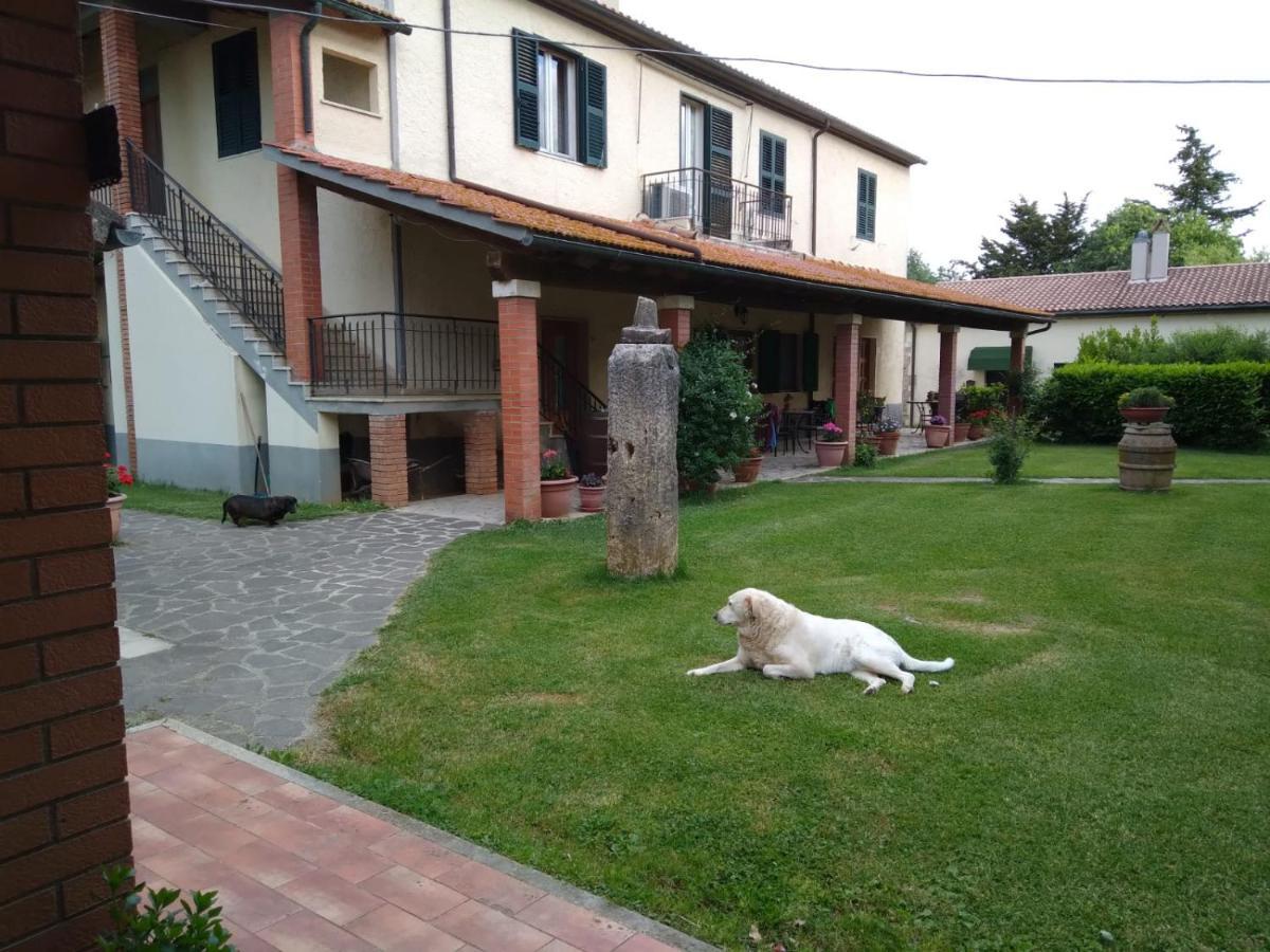 Agriturismo Le Chicche Di Mafalda Montemerano Ngoại thất bức ảnh