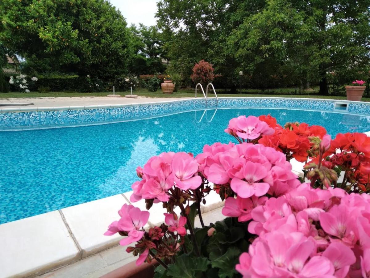Agriturismo Le Chicche Di Mafalda Montemerano Ngoại thất bức ảnh